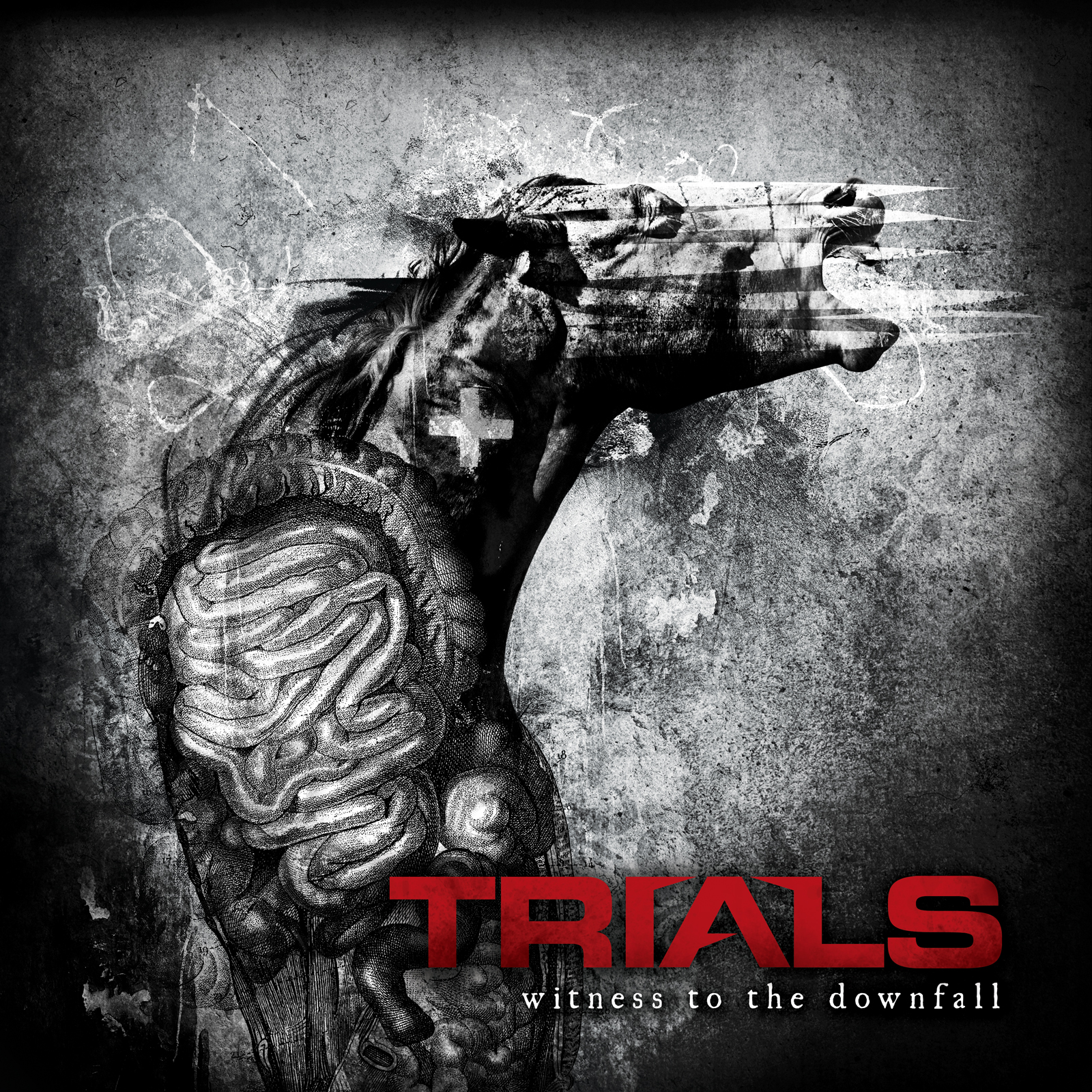 The Downfall