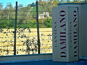 Cantina Damilano in Piedmont