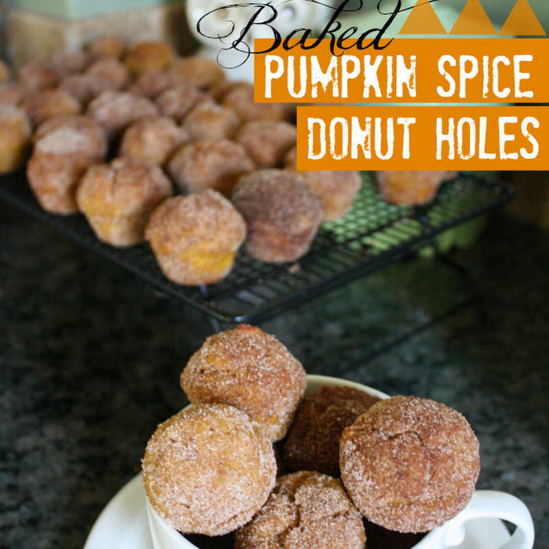 Pumpkin Spice Donut Holes You Re Welcome
