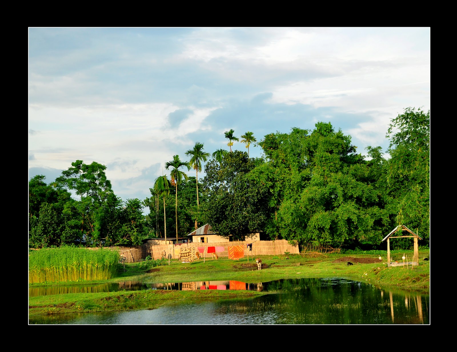 Virgin beauty of North Bengal Original rural