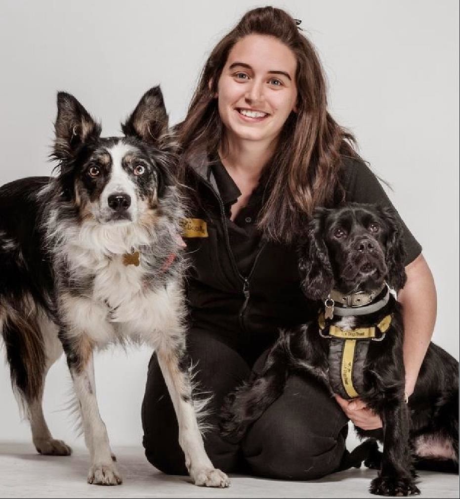 Dogs Trust Dogs Trust Loughborough Celebrate Your Pets! (Part 2)