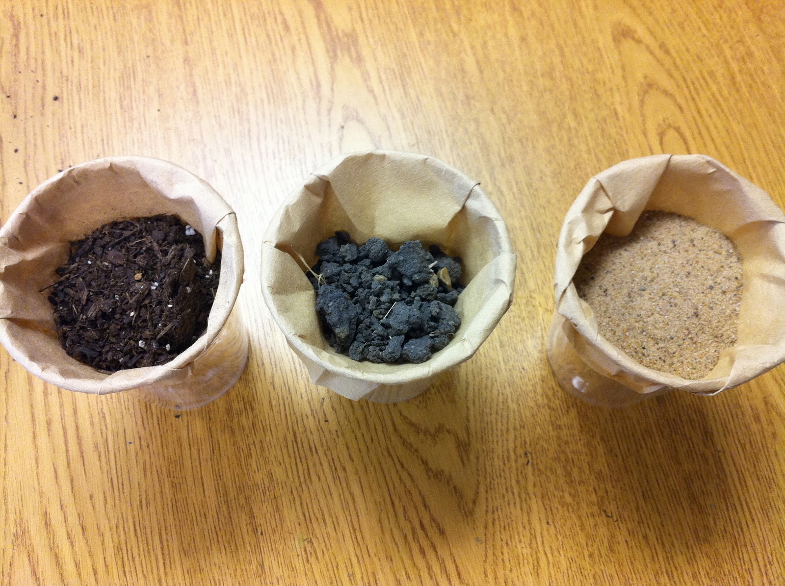 Fun in First Grade! Natural Resources