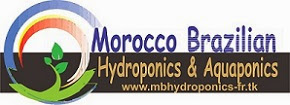 MBHydroponics