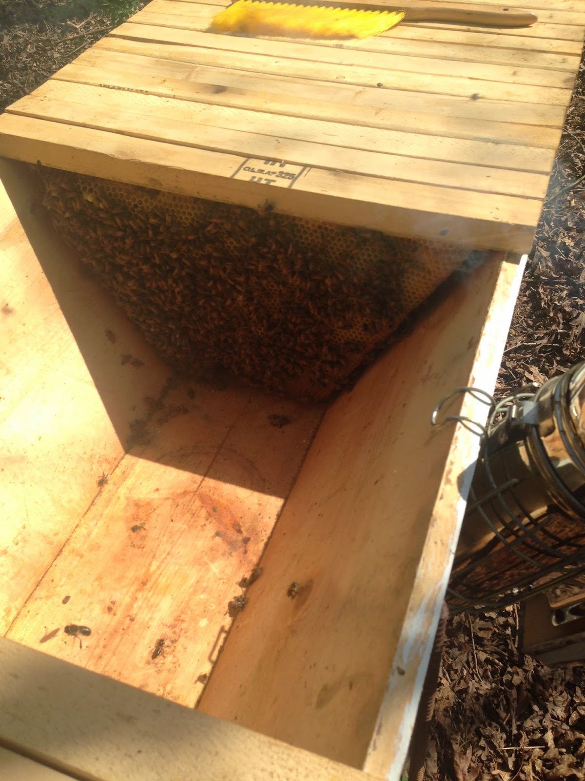 top bar beehive top bar beekeeping