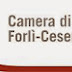  Forlì-Cesena - Presentazione Rapporto 2014 sull'Innovazione