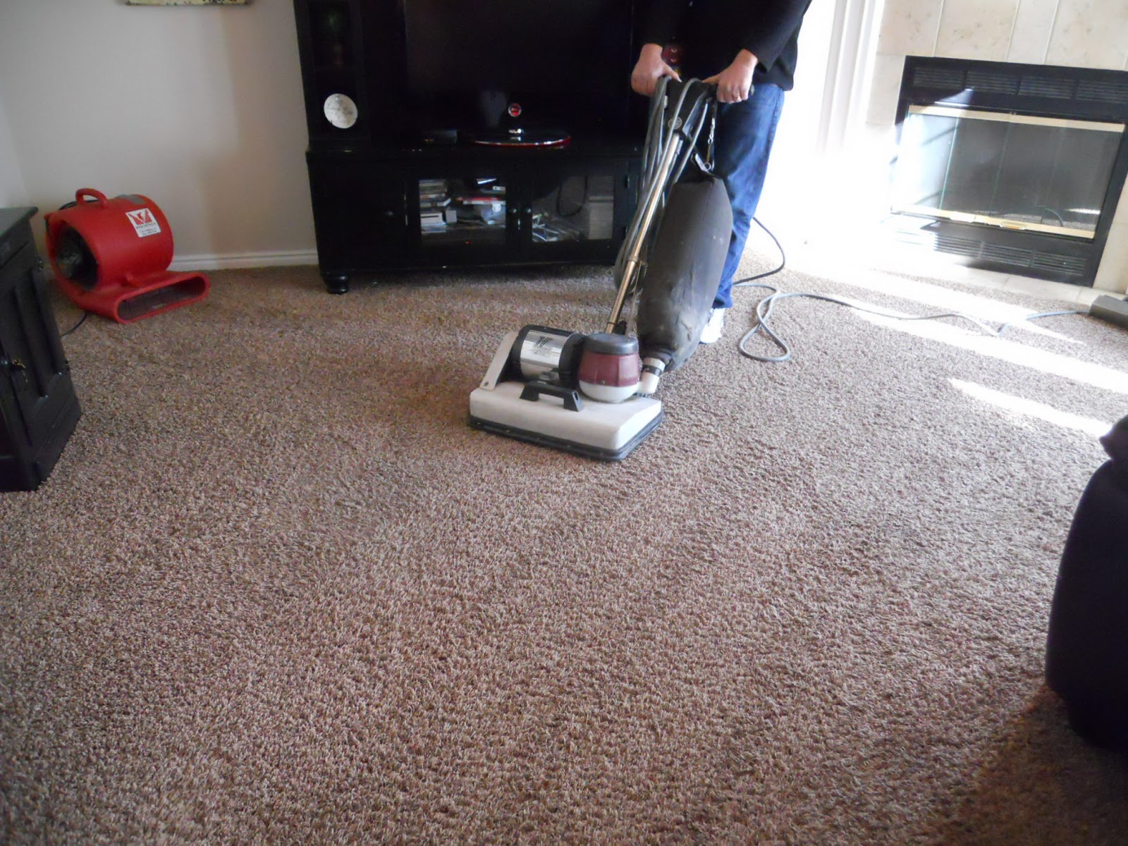 Alpine Professional Carpet Care COMMERCIAL CARPET CLEANING IN SALT