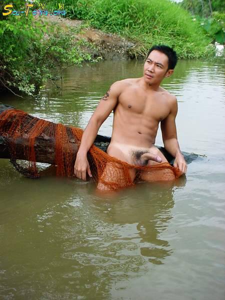 gay cocks galleries where the boys are gay movie