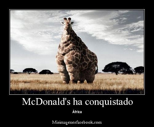 MC DONAL AL PODER JAJAJAA