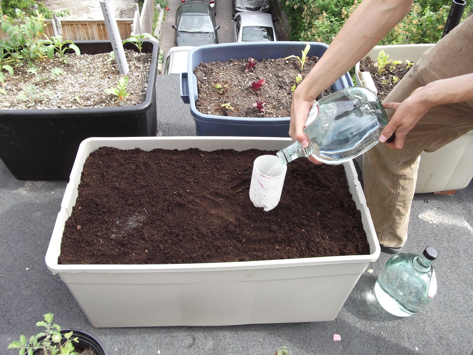 SelfWatering Grow Bins If You Build It, They Will Grow!