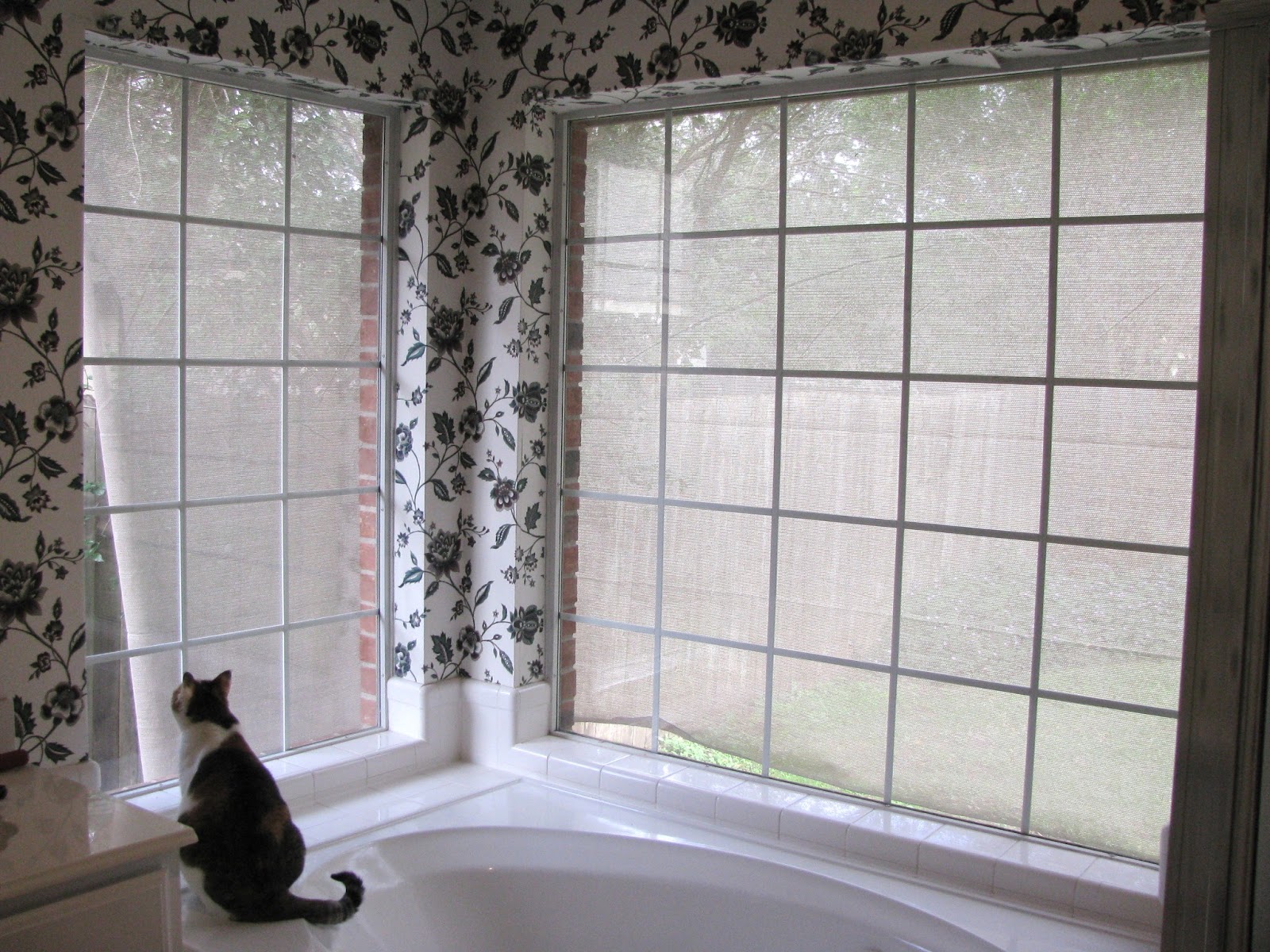 The Cannary Family Bathroom blinds