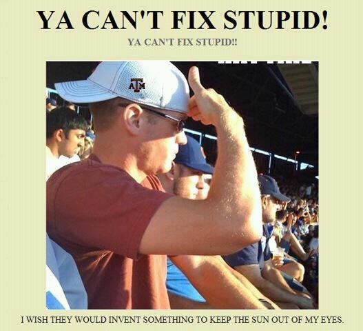 Image result for can't fix stupid