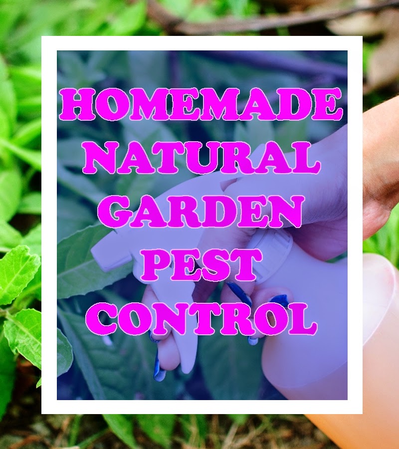 Most Beautiful Gardens Homemade Natural Garden Pest Control