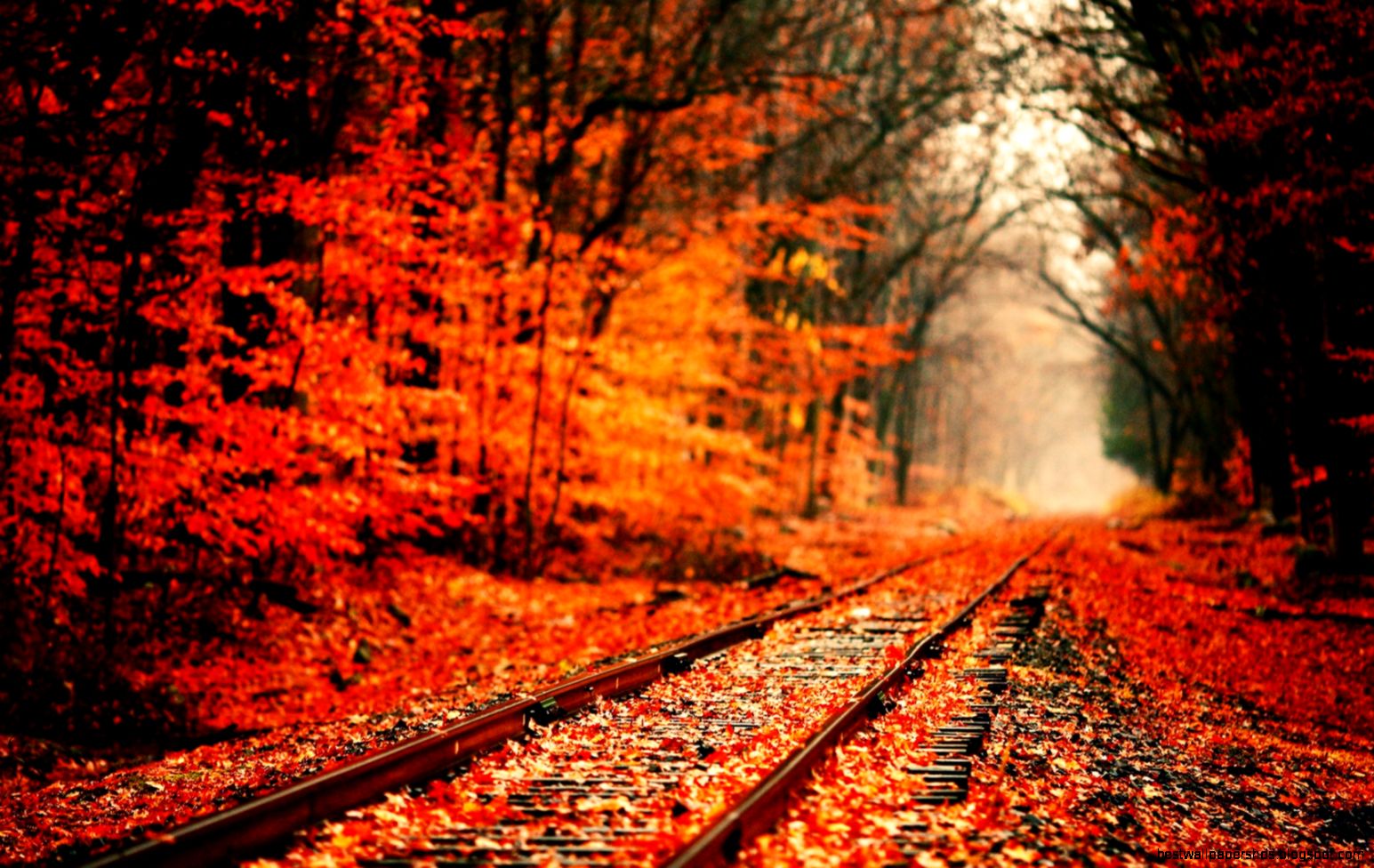 fall wallpaper computers images fall wallpaper computers images