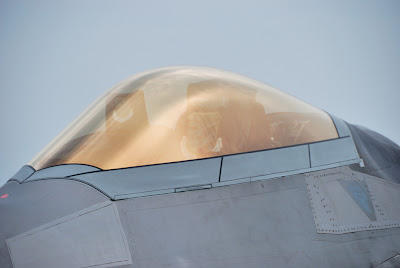 Soluções engenhosas para problemas espinhosos Canopy+do+F-22+Raptor