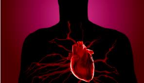 penyakit+jantung.jpg
