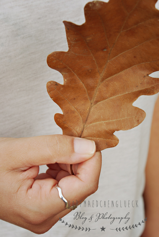 Hannover Landpartie Auf Schloss Buckeburg 2013 Wonderful