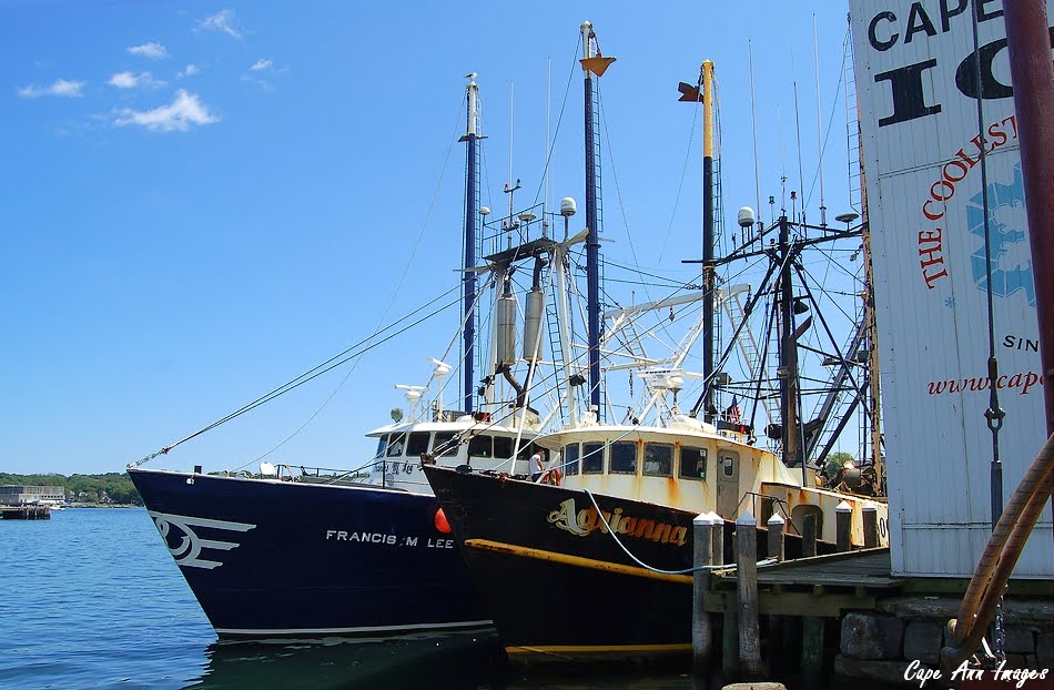 scallop boat cape ann images a nice stretch of weather scallop boat cape ann images a nice stretch of weather