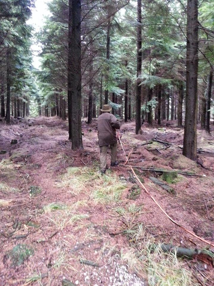 One On One Dog Training Near Exeter One On One Dog Training Near Exeter