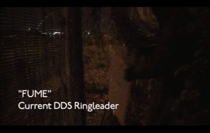 Least Blogged Some Screen Grabs From Underbelly Dds Documentary