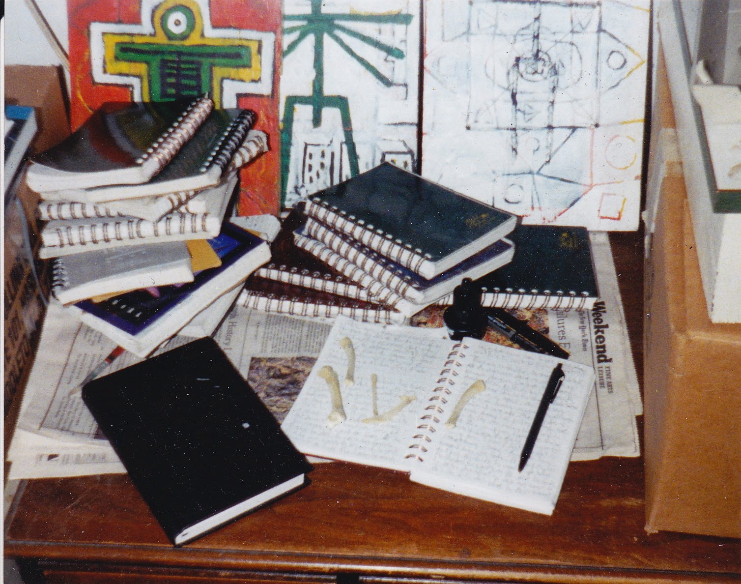 PANIC IN THE ZERO DECADE Studio Bones 1998