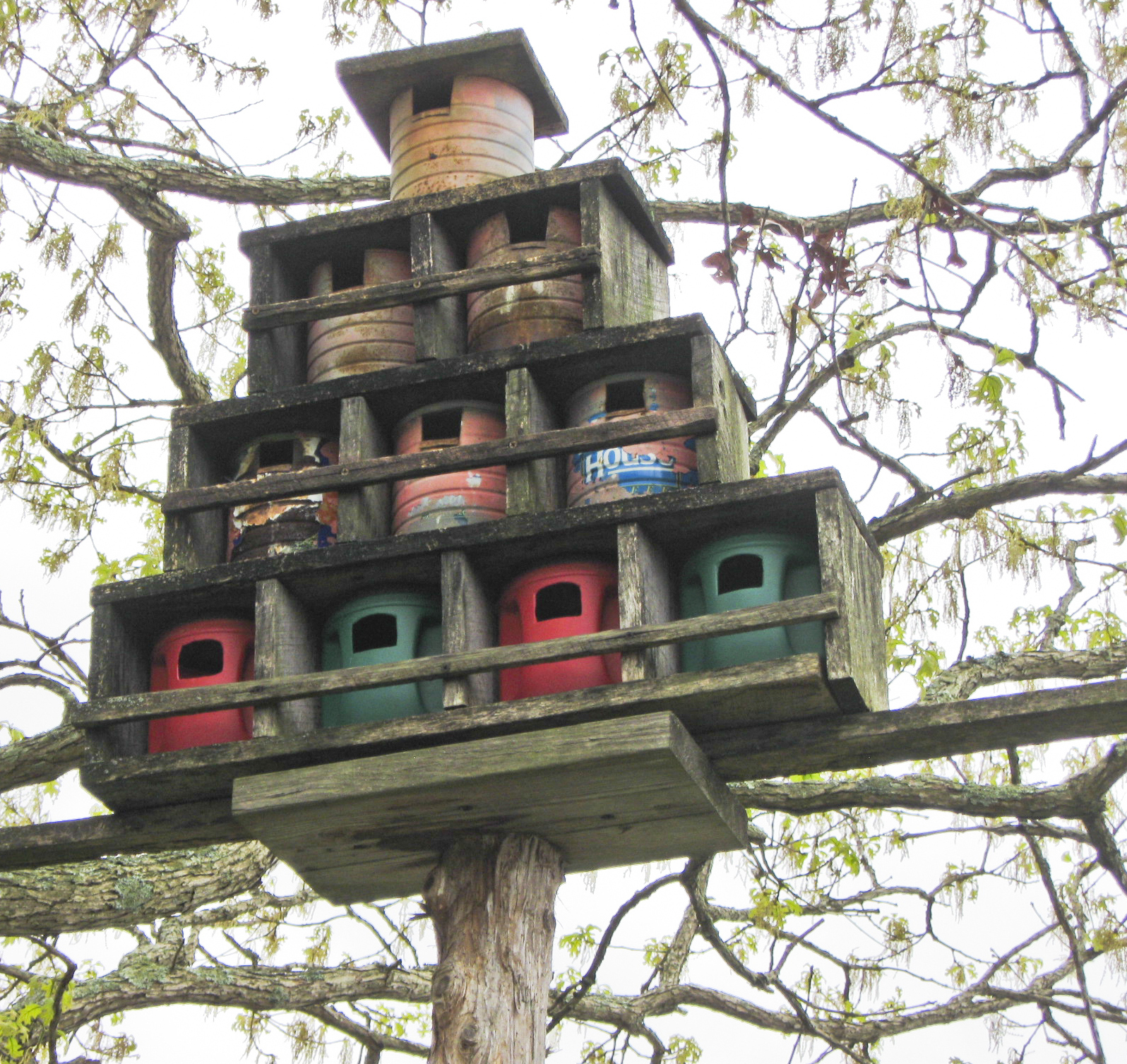 FOLKWAYS NOTEBOOK APPALACHIAN FOLK ART BIRD ROOST