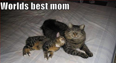 funny mothers day