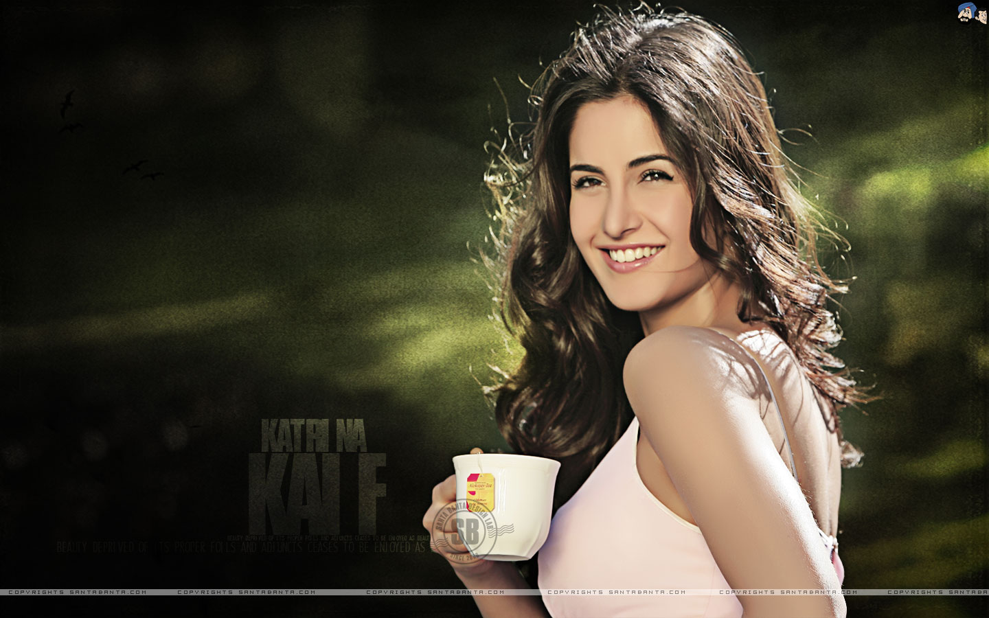 http://3.bp.blogspot.com/-0vzyObt4xcs/TgMVXiwYCpI/AAAAAAAAADg/QVWD-KaWQPk/s1600/katrina-kaif-132a.jpg