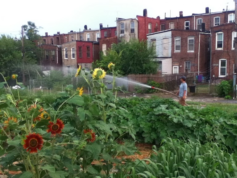 Boone Street Farm About