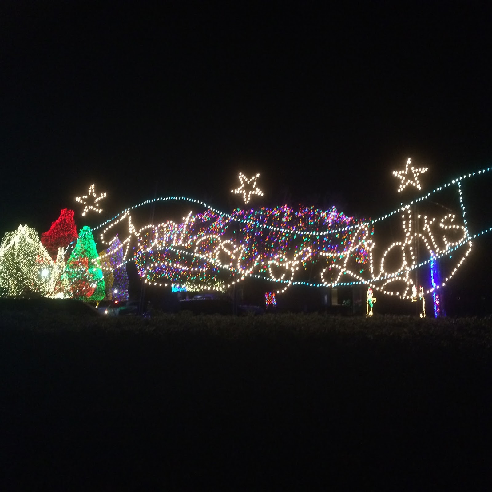 All Things Midlands {Around Town} Fantasy of Lights at Swan Lake Iris