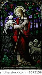 The gentle lamb
