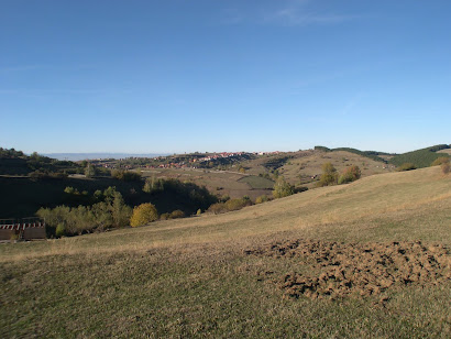 Rounded hills at the northern end of the Cindrel Massif