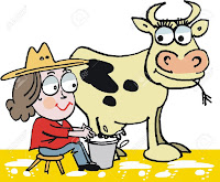 Milking Cow