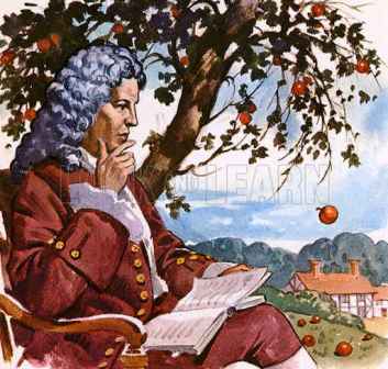 newton isaac sir apple gravitation gravity universal fall falling motion science famous law gravitational laws illustration discoveries illustrations observing his