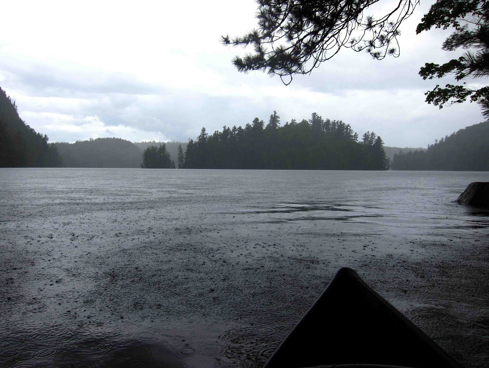 Saratoga woods and waterways Rain and More Rain