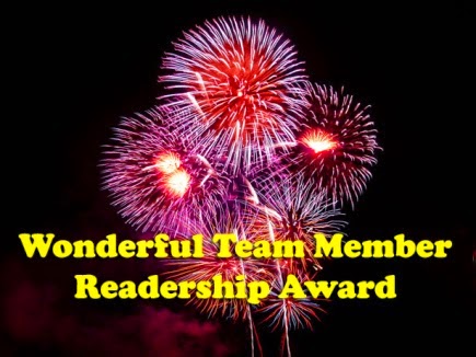 Premio  WONDERFUL TEAM MEMBER READERSHIP AWARD  2014