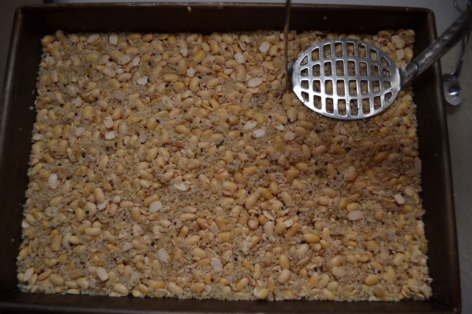 Tempeh Time Vegan Magic Time