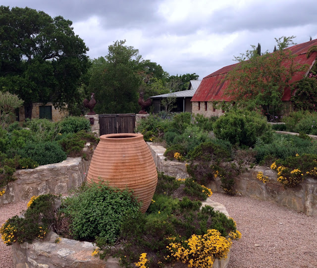 Spring in the Texas Hill Country HYACINTHS FOR THE SOUL
