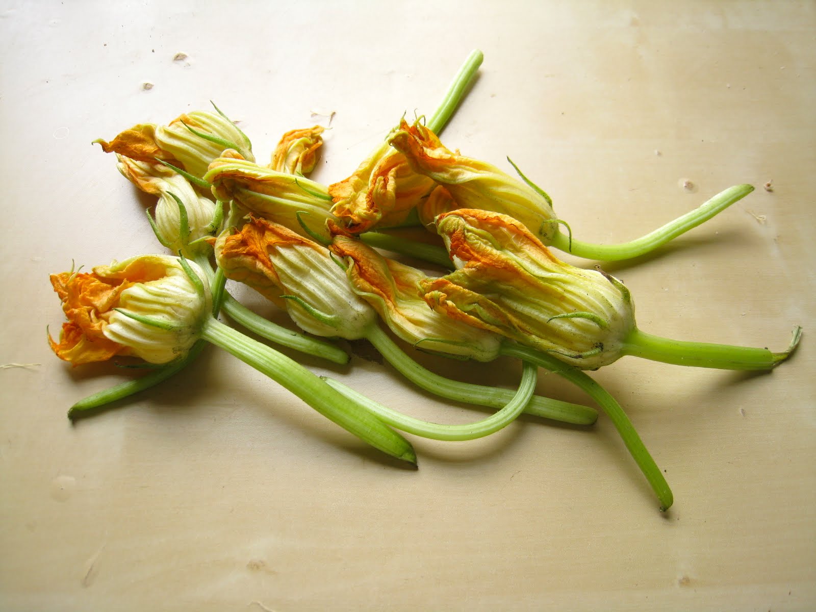 Grill A Chef Squash Blossom Sauce