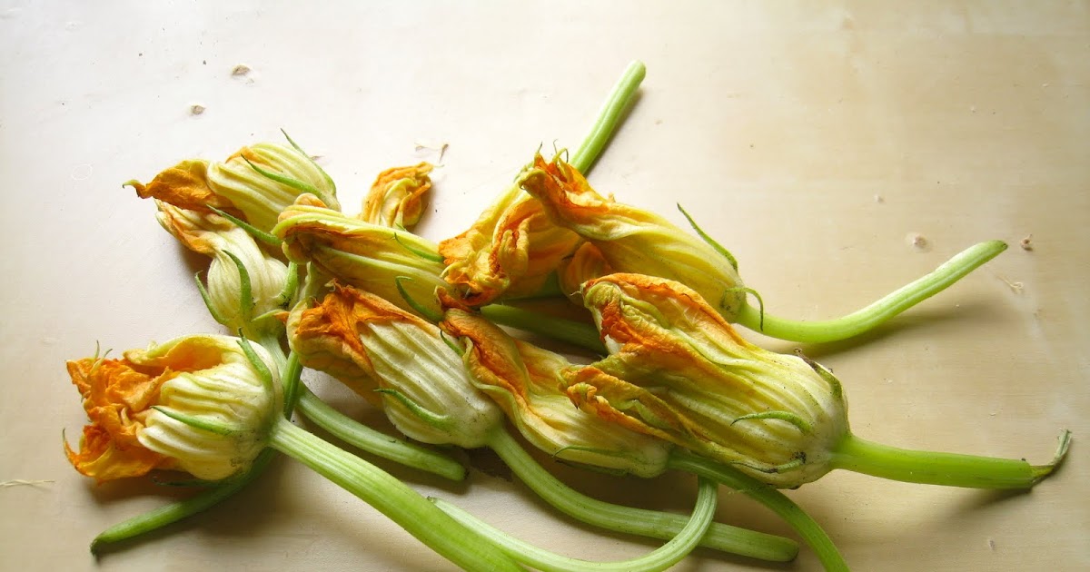 Grill A Chef Squash Blossom Sauce