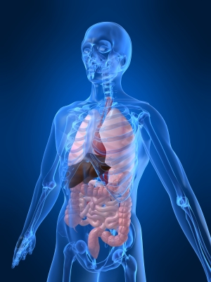 On Wings of Eagles: The Amazing Human Body.