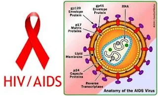 Metode Penularan AIDS
