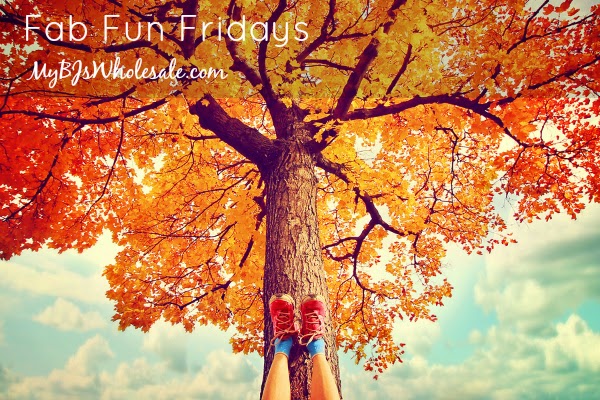 Fabulously Fun Fridays (November 7th Edition)
