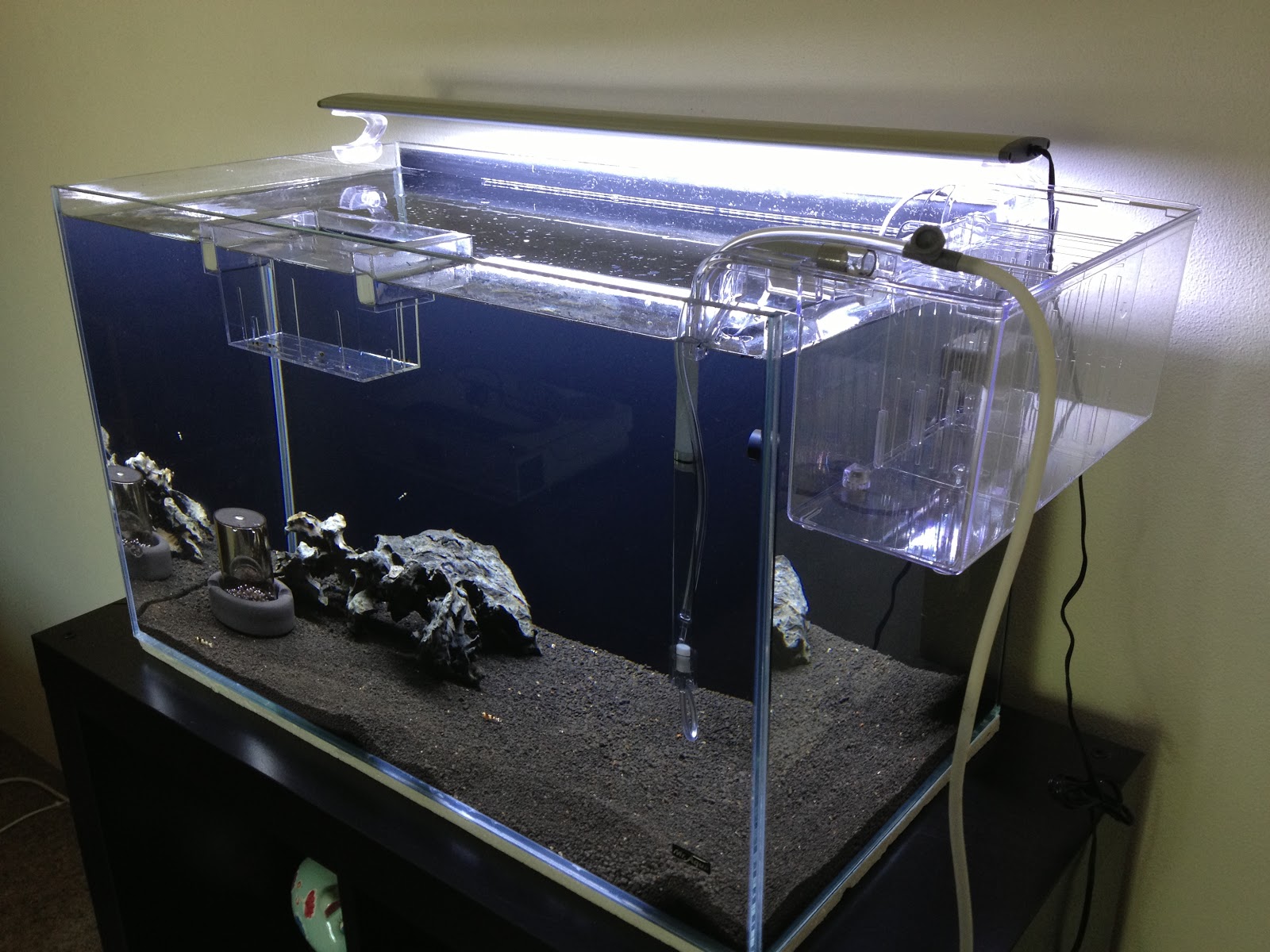Emboli's Aquariums [SHRIMP TANK] Breeding Box