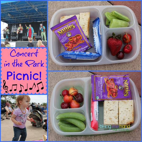 Biting The Hand That Feeds You Simple Concert in the Park Picnic Lunches
