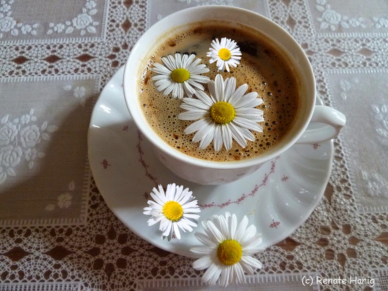 Willkommen In Renates Eckchen Willkommen Wonnemonat Mai 2015