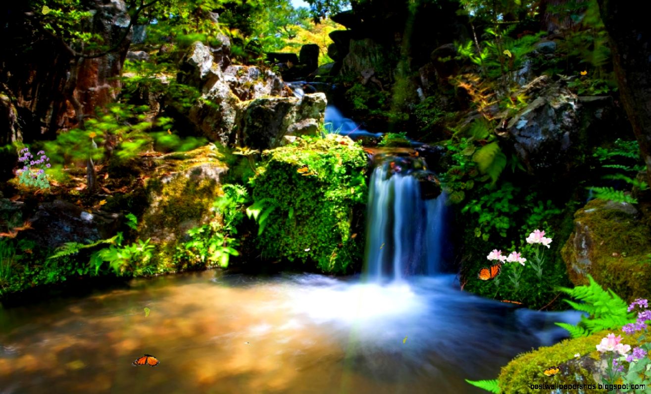 Animated Wallpapers HD Images New Animated Wallpapers HD Images New