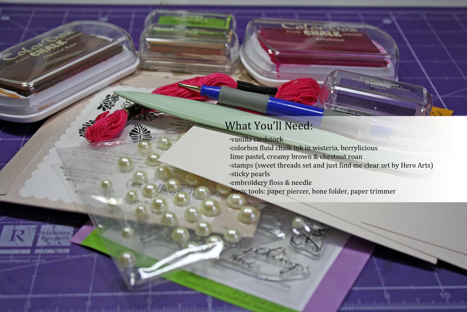 My Pink Mexico Picture Tutorial Colorbox Chalk Inks & Hero Arts Stamps