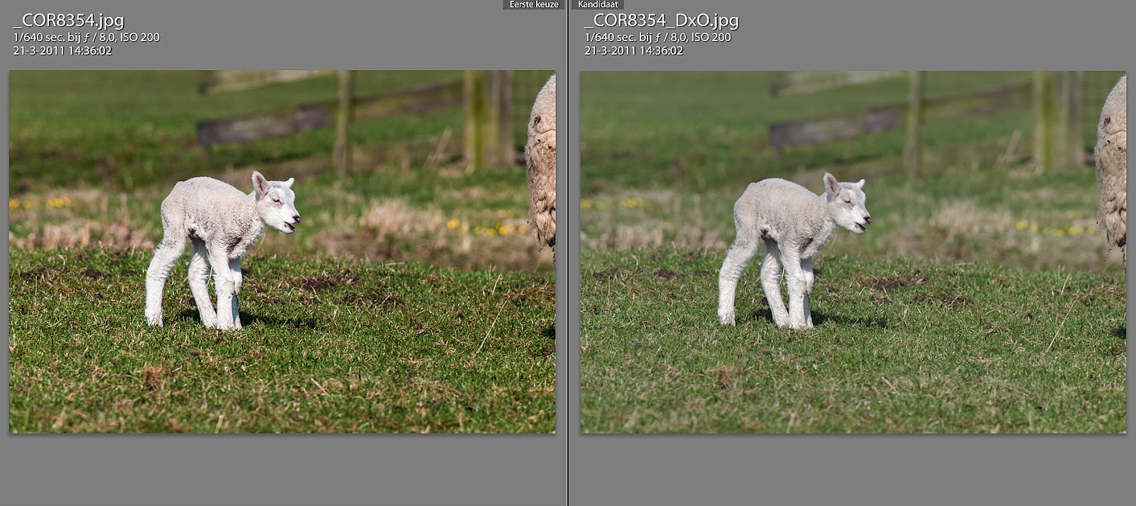 dxo viewpoint 3 vs lightroom dxo viewpoint 3 vs lightroom