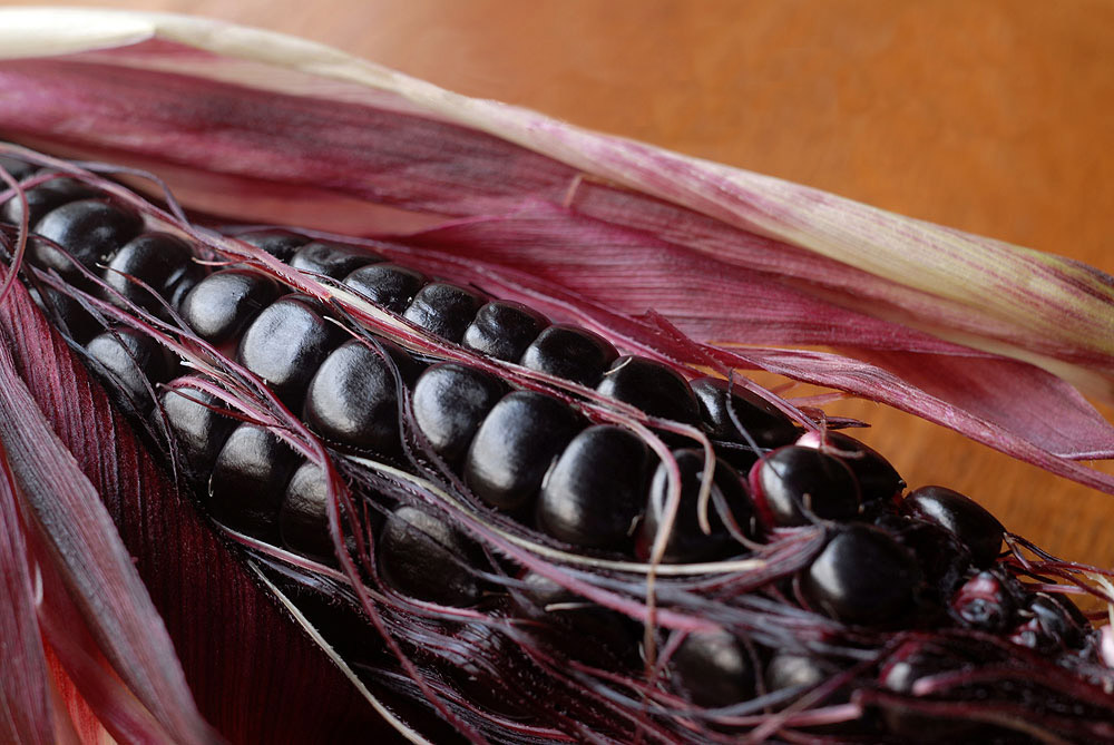 Purple Corn Health Benefits Purple Corn Juice