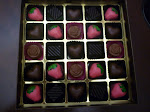 25 pcs PraLine cHocs